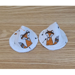 ensemble naissance renard